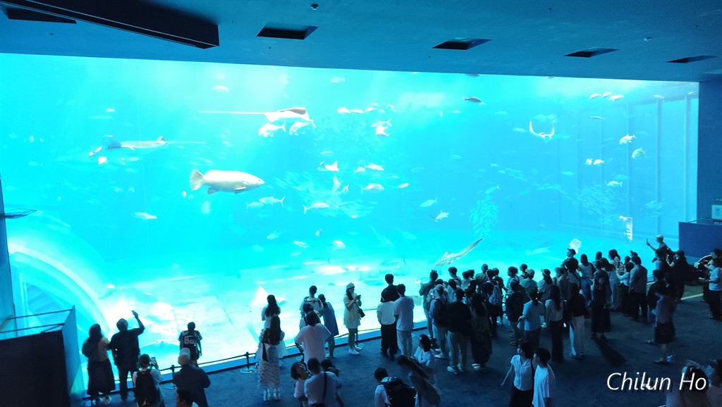 沖縄美ら海水族館